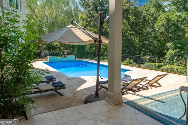 view of swimming pool featuring a patio