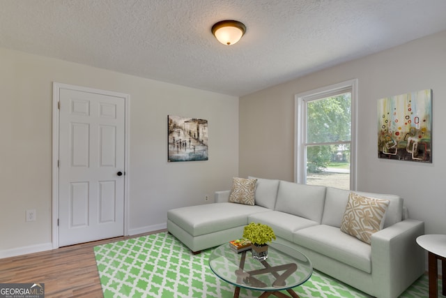 living room with wood-type flooring and a textured ceiling