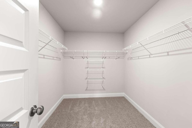32 Joseph Ln, Hartwell, GA 30643 - walk in closet with carpet