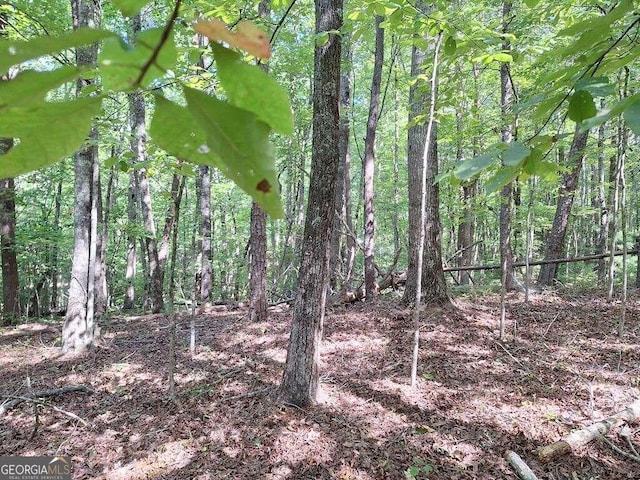 0 Crawford Rd, Mccaysville GA, 30555 land for sale