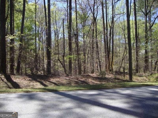 2515 Slater Mill Rd, Douglasville GA, 30135 land for sale