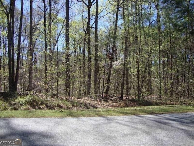 Listing photo 2 for 2515 Slater Mill Rd, Douglasville GA 30135