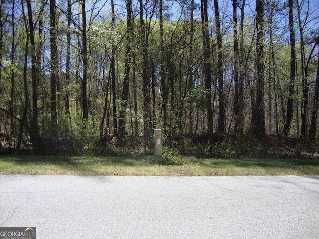 Listing photo 3 for 2515 Slater Mill Rd, Douglasville GA 30135