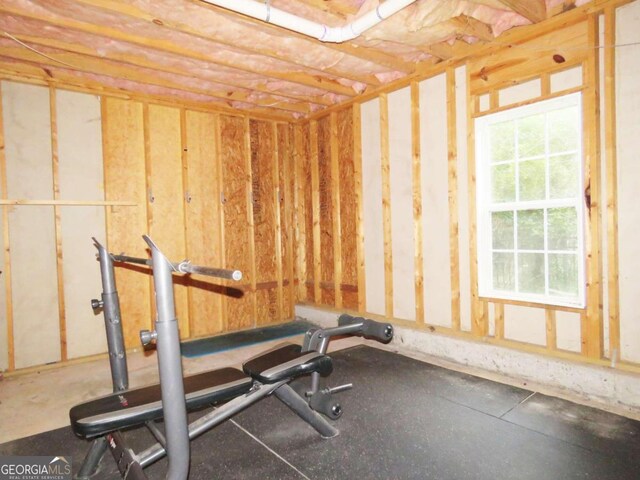 workout room featuring a healthy amount of sunlight