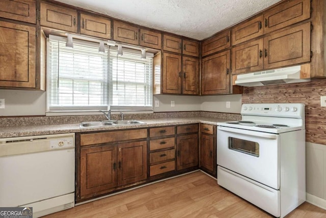 kitchen featuring a textured ceiling, sink, white appliances, and light hardwood / wood-style floors