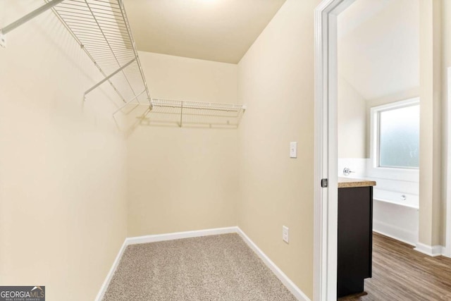 spacious closet featuring carpet floors