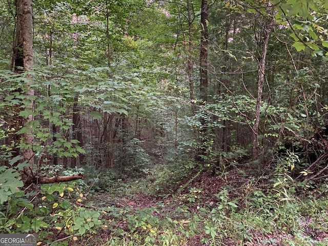 Listing photo 3 for 0 Whitecliff Dr, Ellijay GA 30540