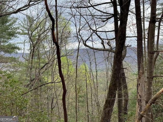 TRACTD Harpers Creek Road, Ellijay GA, 30540 land for sale