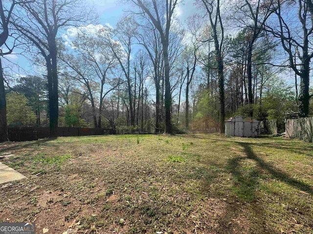 view of yard with a storage shed