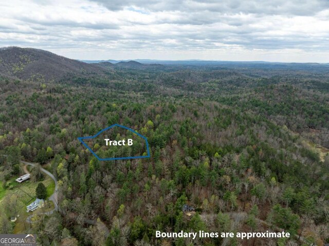 TRACTB Harpers Creek Road, Ellijay, GA 30540