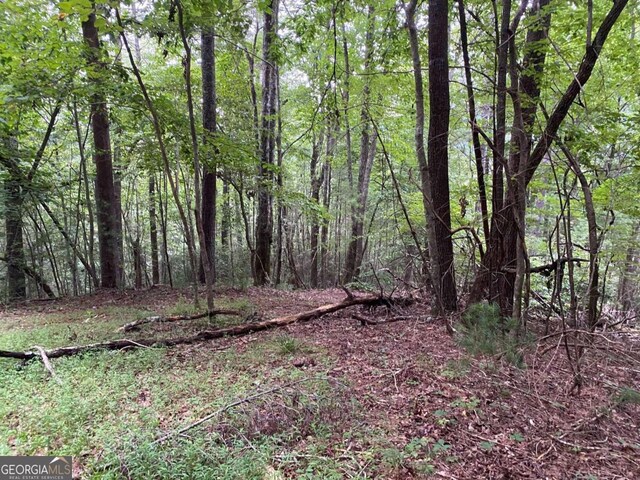TRACTB Harpers Creek Road, Ellijay, GA 30540