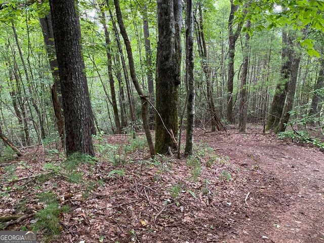 TRACTB Harpers Creek Road, Ellijay, GA 30540