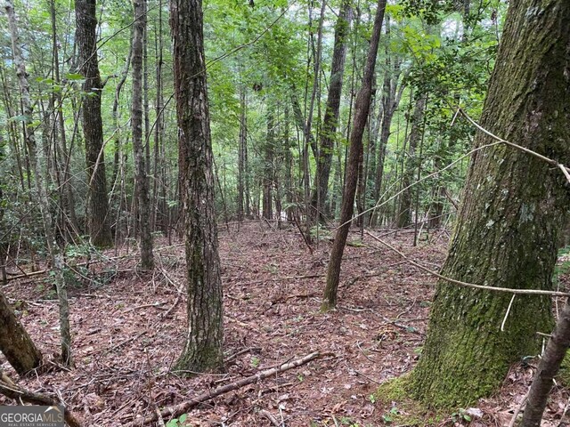 TRACTB Harpers Creek Road, Ellijay, GA 30540