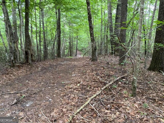 TRACTB Harpers Creek Road, Ellijay, GA 30540