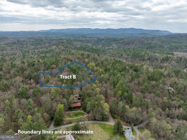 TRACTB Harpers Creek Road, Ellijay, GA 30540
