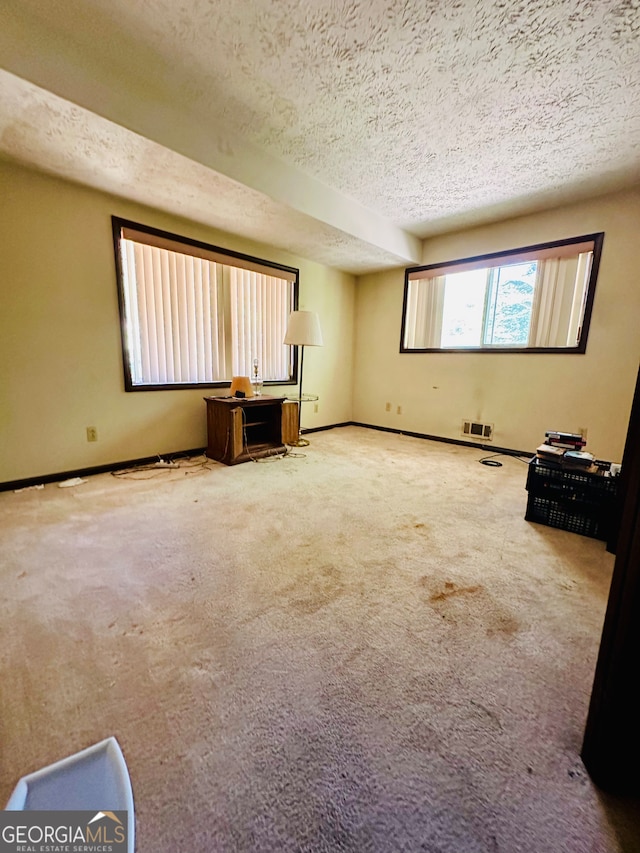 interior space with carpet flooring and a textured ceiling