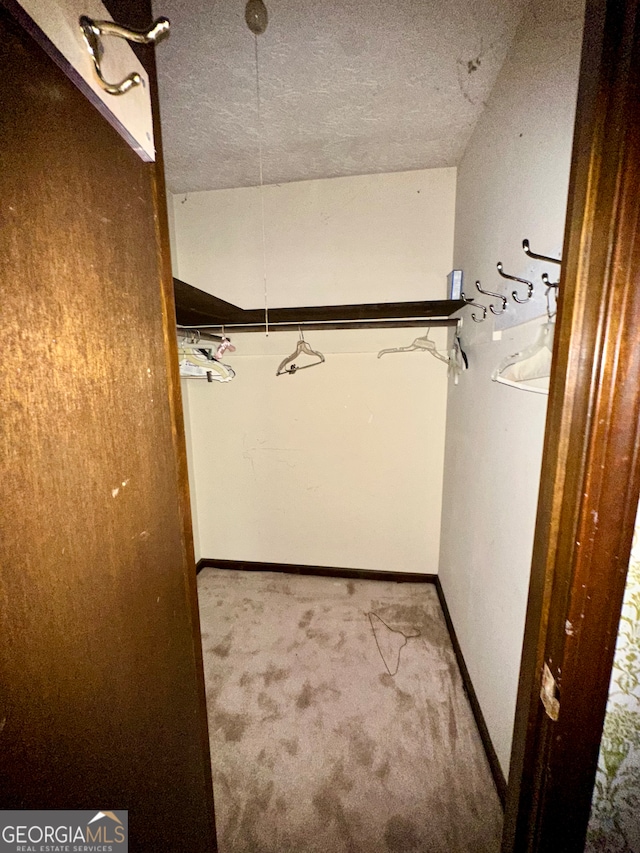 spacious closet with light carpet