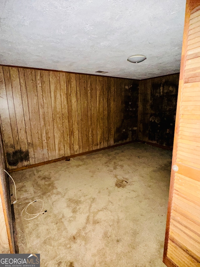 basement with a textured ceiling, carpet flooring, and wooden walls