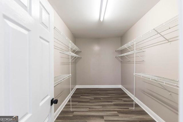 walk in closet featuring dark wood-type flooring