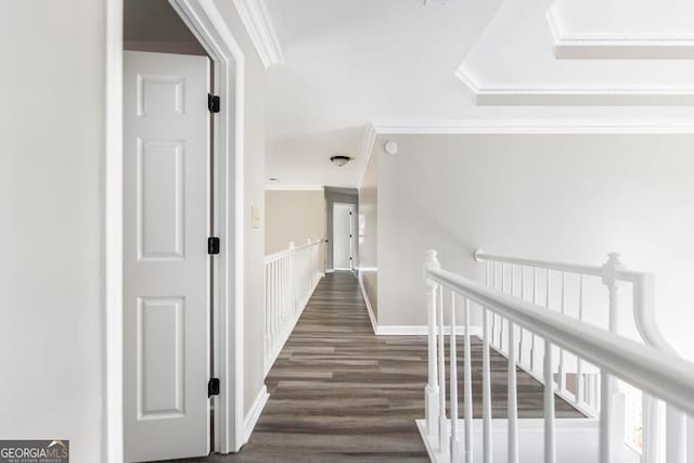 hallway with crown molding, a raised ceiling, and dark hardwood / wood-style flooring