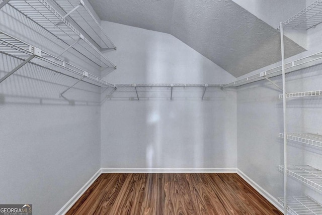 walk in closet with lofted ceiling and wood-type flooring