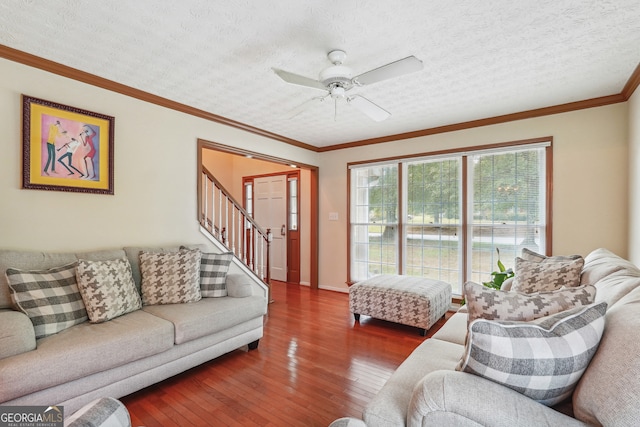 living room with ceiling fan, dark hardwood / wood-style floors, crown molding, and a textured ceiling