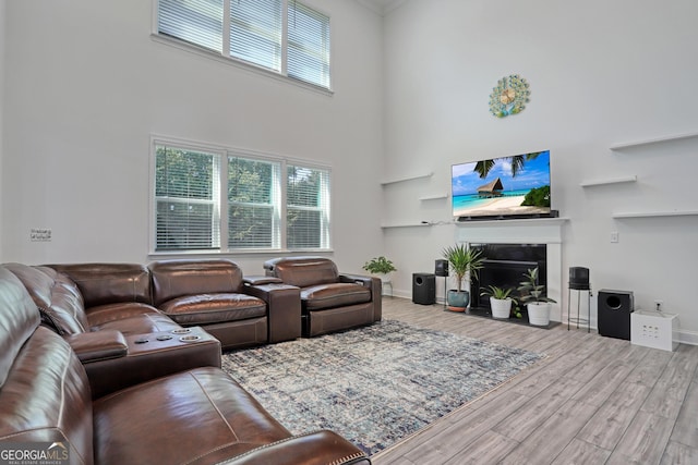 living room with light hardwood / wood-style flooring and a high ceiling