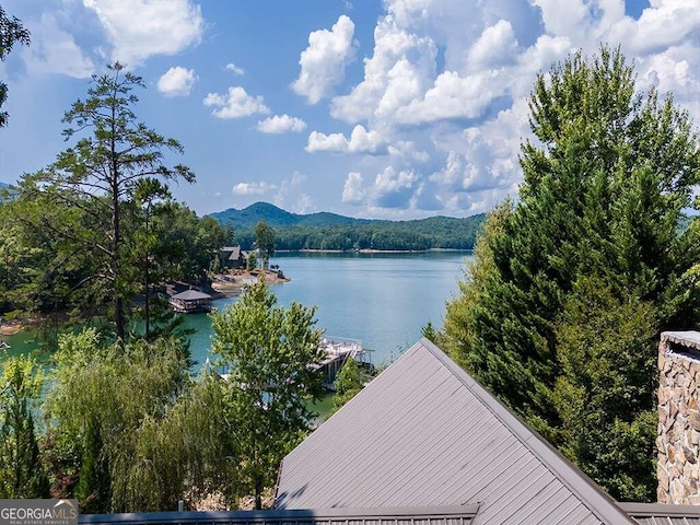 water view with a mountain view