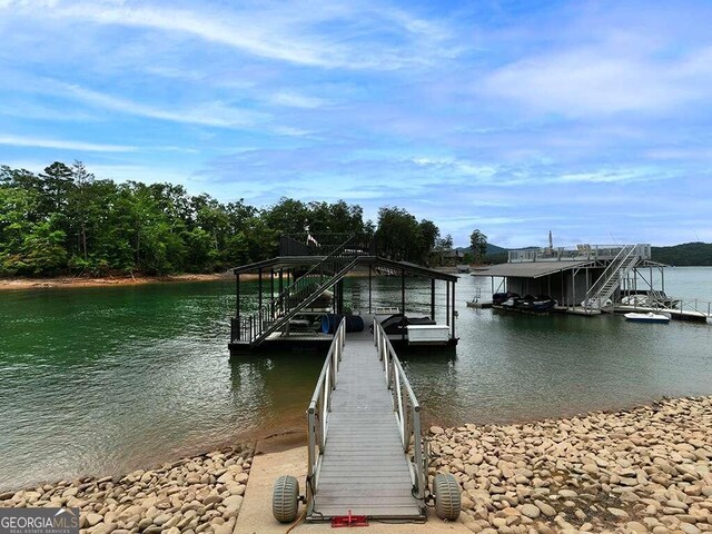 dock area with a water view