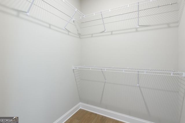 spacious closet featuring hardwood / wood-style flooring