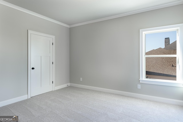 spare room with crown molding and carpet floors