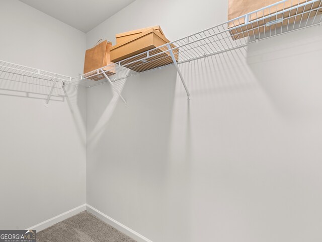 walk in closet with carpet flooring