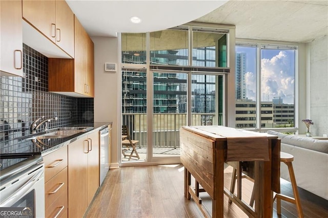 kitchen with tasteful backsplash, plenty of natural light, light hardwood / wood-style floors, and dishwasher