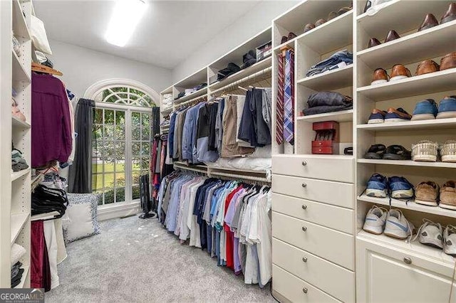 spacious closet with light colored carpet