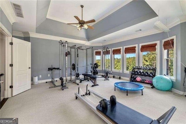 exercise area with ceiling fan, ornamental molding, a raised ceiling, and a healthy amount of sunlight