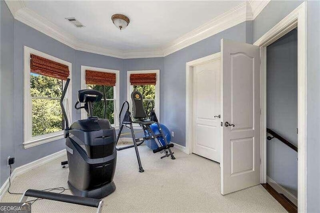 workout room featuring light carpet and ornamental molding