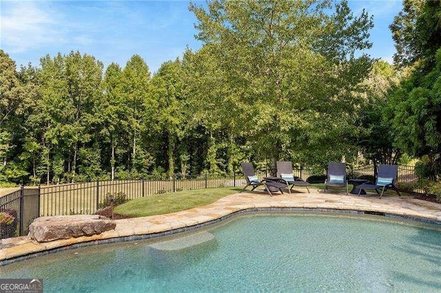 view of pool featuring a patio