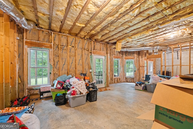 basement featuring a healthy amount of sunlight