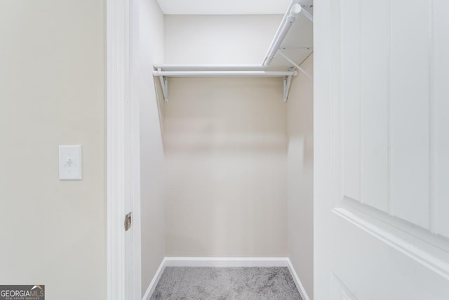 walk in closet with carpet flooring