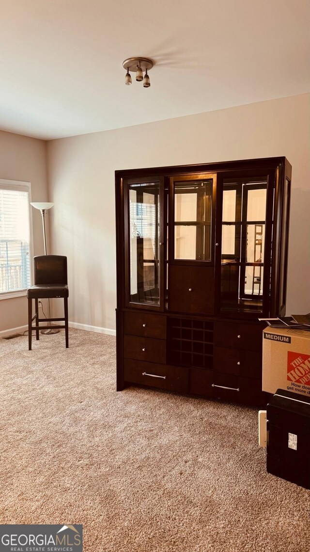 living area featuring carpet flooring