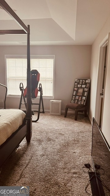 carpeted bedroom featuring a tray ceiling and multiple windows