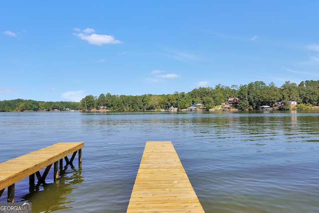 dock area with a water view