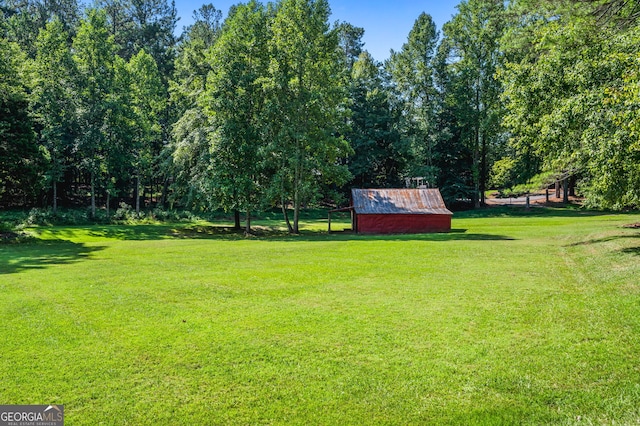 view of yard with a storage unit