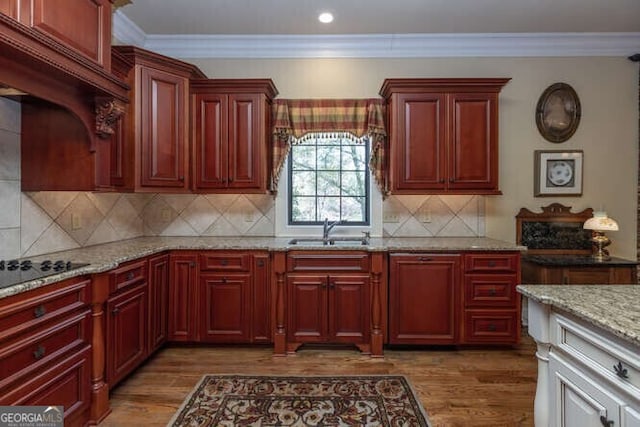 kitchen featuring dark hardwood / wood-style floors, tasteful backsplash, and sink