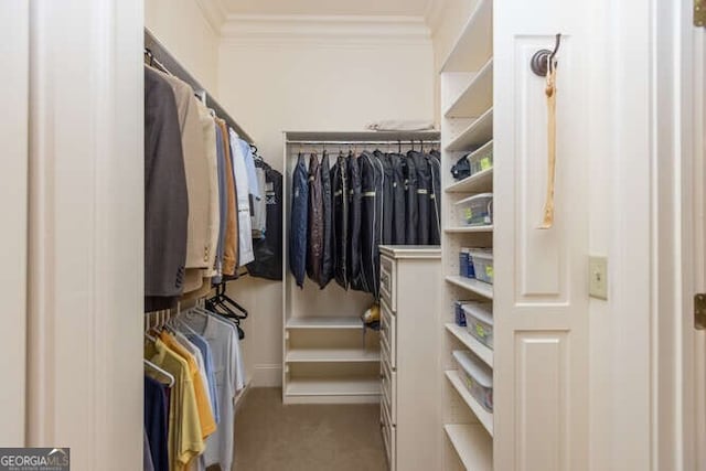 walk in closet featuring light carpet