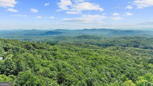 property view of mountains