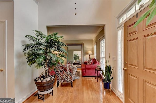 foyer entrance featuring ornamental molding and light hardwood / wood-style flooring