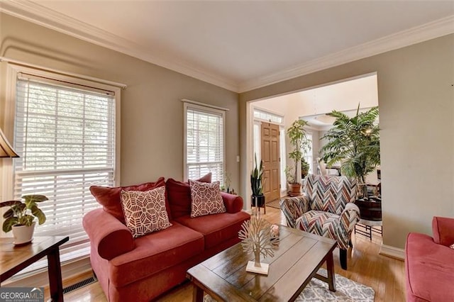 living room featuring light hardwood / wood-style floors and crown molding