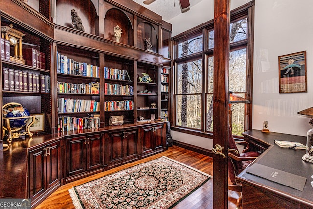 office with ceiling fan and light hardwood / wood-style flooring