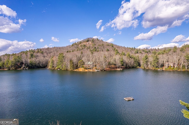 water view with a mountain view